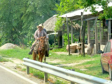 パレンケの郊外の馬に乗って暮らすカウボーイの姿
