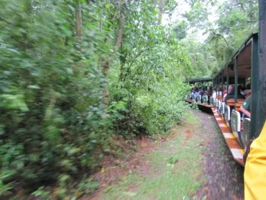 イグアスの滝へ向かうかわいいミニ列車の景色