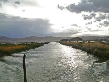 プーノのチチカカ湖の葦の水草の間に造られた航路を進む様子