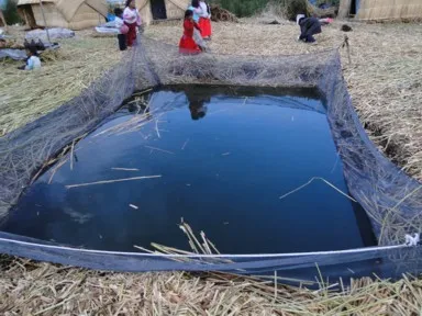 チチカカ湖に浮かぶウロス島の中に作られたいけすの姿