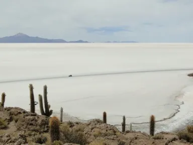 サボテンだらけの魚の島のイスラ・デ・ぺスカと何もない白い大地のウユニ塩湖と遠くに山が見えるそれだけしかない景色