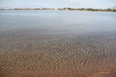 泳ぐ魚まで見える透明度の高いイシククルの湖水