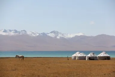 ソン・クル湖の黄金の大地と白い馬と白いユルタと白い山と水色の湖水