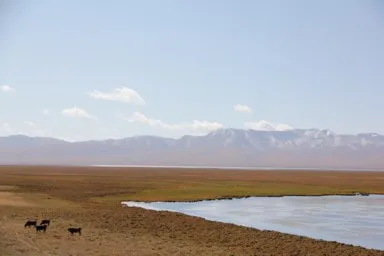 ソンクル湖と放牧の馬と山