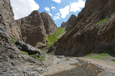 ヨリーンアム渓谷の奥地の氷河が流れた跡がある山肌