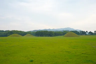 キョンジュの大陵苑の雨で青さを増す芝"