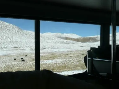 雪山とヤクが放牧された大地を進む川蔵公路のバス