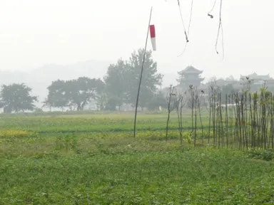 黄龍渓の町の周りはのどかな田園風景
