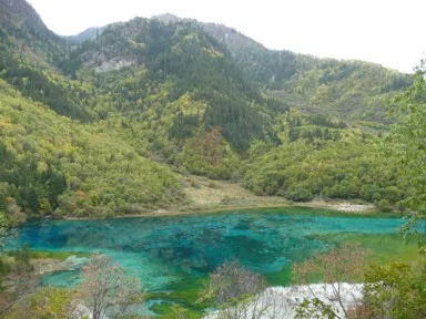 九寨溝の透明な湖面と色鮮やかな自然景観。