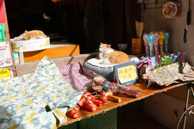 台湾の鹿港老街のお土産屋で商品の上の看板猫たち