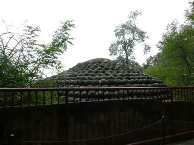大きなぶつぶつを付けた楽山大仏の頭部