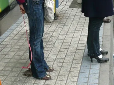 カメにひもを付けて散歩する成都の人