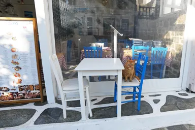 ミコノス島のレストランの入り口の椅子に立つ招き猫の猫