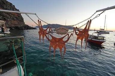サントリーニ島のイアのアムーディ港のレストランにかかげられた生のタコの姿