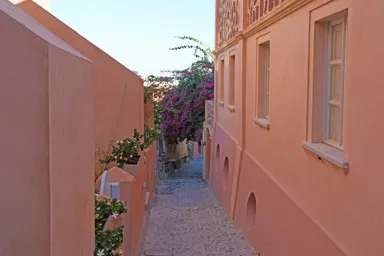 サントリーニ島のイアの細い路地でトンネルを作る赤い花を咲かせた植物の光景