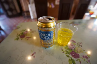 愛知のリトルワールドでインカコーラ