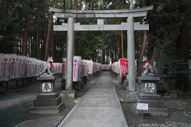 愛知の豊川稲荷の鳥居と参道ときつね
