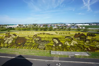 青森の田舎館村の農作業を描いた田んぼアート