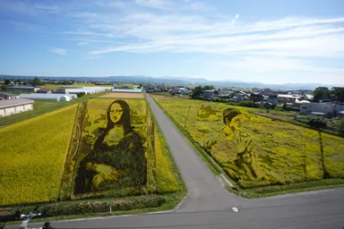 青森の田舎館村のモナリザの田んぼアート