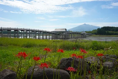 青森の鶴の舞橋と岩木山