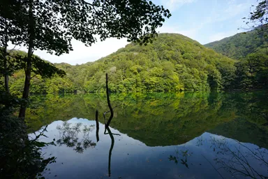 青森の十二湖の湖面