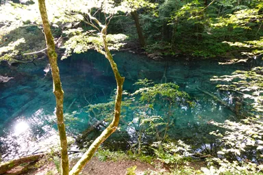 青森の十二湖の青い透き通った湖面