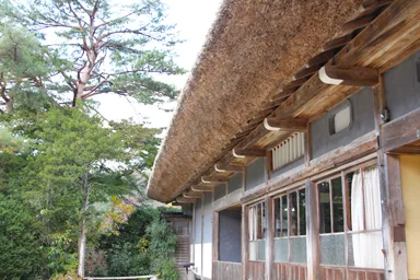 白川郷の合掌造りの家の軒先の茅の姿