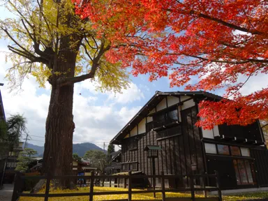 岐阜の飛騨古川の赤い紅葉と黄色い銀杏