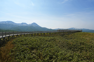 知床五湖の木道が伸びる先にたたずむ山々の姿