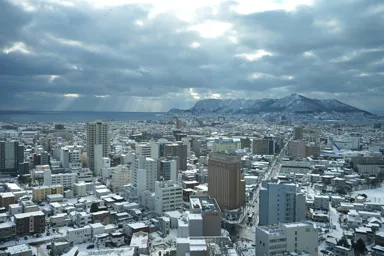 五稜郭タワーから雪の白い函館の街並み