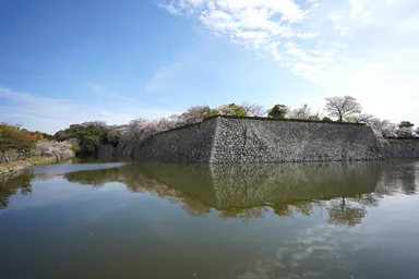 姫路城の桜が咲く石垣と静かな水面の堀