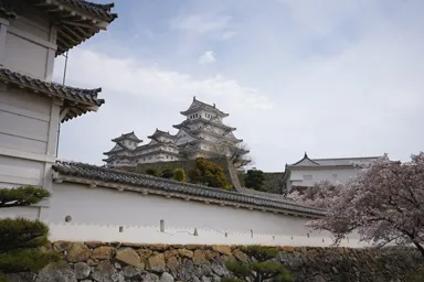 菱の門からの姫路城の天守と桜