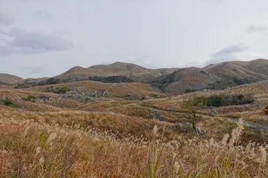 福岡の平尾台の冬の草原と白い無数の石