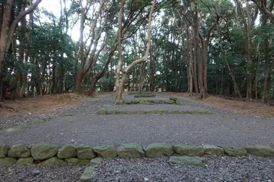 福岡の宗像大社の林の中の高宮祭場