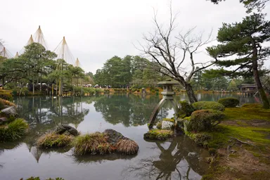 金沢の兼六園の徽軫灯籠と霞ヶ池