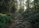 静けさを感じる熊野古道