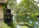 まさに清流の安曇野わさび農園