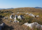 期待以上の絶景秋吉台