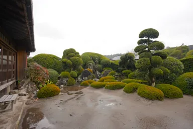 鹿児島の知覧の武家屋敷の整った庭園