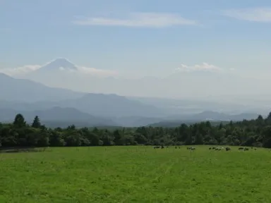 山梨の清里まきば公園の高原と富士山