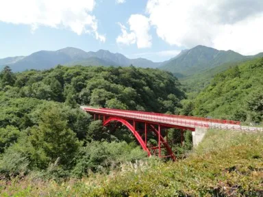 山梨の緑の森と赤い東沢大橋