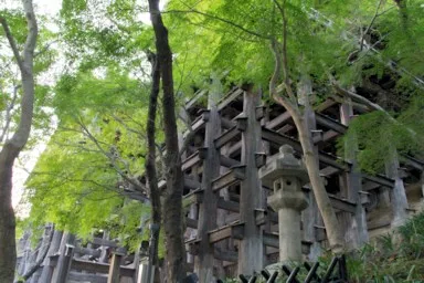 京都の清水寺の舞台下の柱