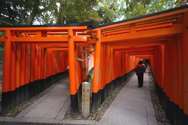 京都の伏見稲荷大社の2本に分かれる千本鳥居