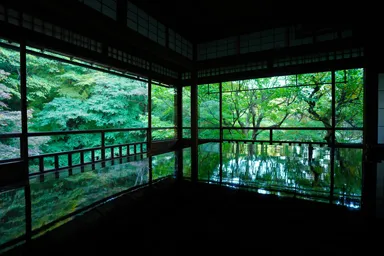 京都の瑠璃光院の緑の木々の写り込み