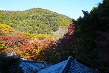 京都の瑠璃光院の紅葉と山