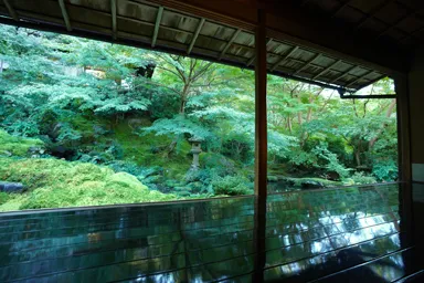 京都の瑠璃光院の緑あふれる庭