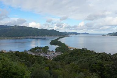 天橋立の飛龍観回廊の松並木