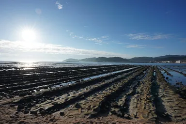 宮崎の青島の海と鬼の洗濯板