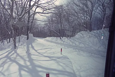 宮城蔵王への雪の山道