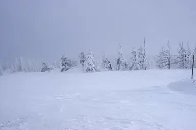 宮城蔵王の雪の平原と樹氷